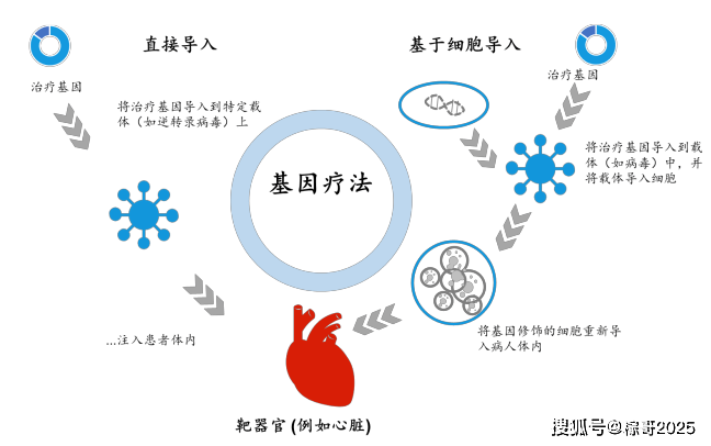 基因治疗的新内涵解析