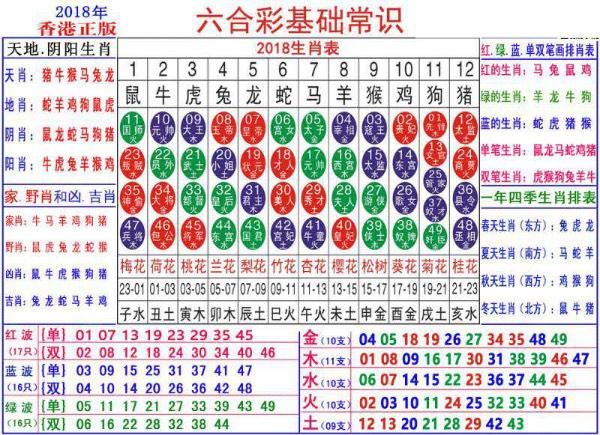 新澳门彩生肖走势图表最新,全身心解答具体_紧凑版62.163