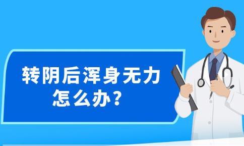 新澳精准资料免费大全,数据解析引导_曝光版46.358