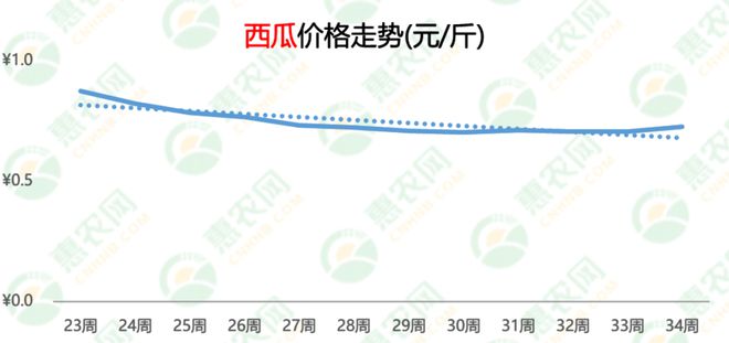 上海西瓜价格最新动态更新