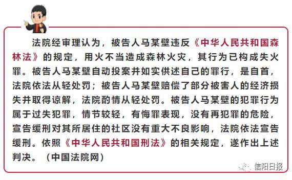 失火罪最新司法解释下的日常故事，从法律视角看温馨生活的变迁