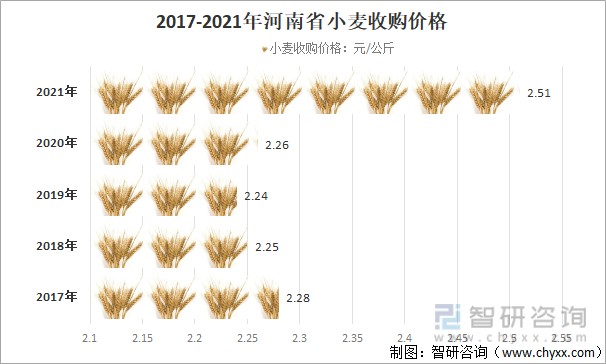 今日聊城小麦最新价格